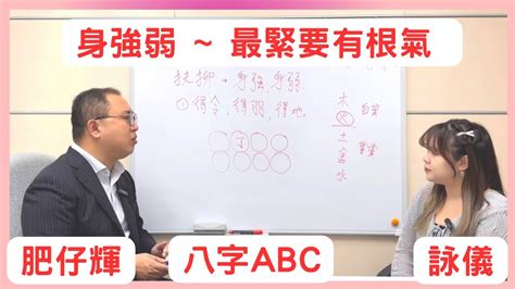 八字強弱計算|2024最準確八字計算器